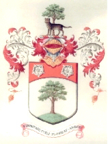 1904 coat of arms (scan of original document)