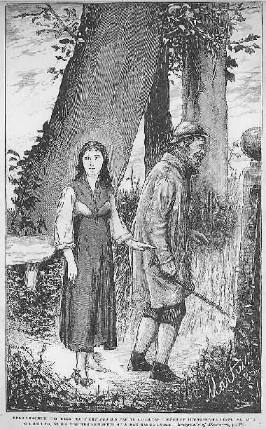 The Emigrants of Ahadarra plate facing page 403