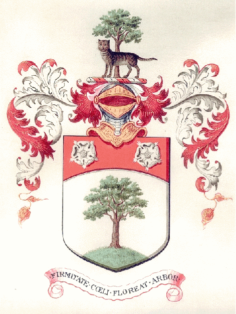 1904 coat of arms (scan of original document)
